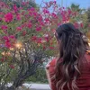 نـبـأ