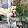 user3zkhutfnv9