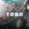 ae.toro_