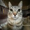 andreh_0326