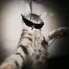 yxnnaaa75