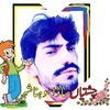shafijoiya7862