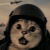 perfect_rax