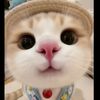 zin.mar54275