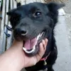 ninarove.com.www