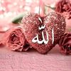 user1946188190553