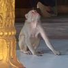 sitt.naing.htoo7
