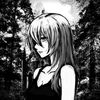 saf_640