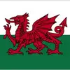 welshlad768