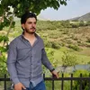 sarwat.shwany