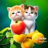 talhashahid137