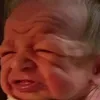 did_your_dad_bring_milk