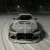 gorst_l