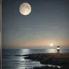 user21kkbav7kt