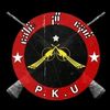 dxnpku2