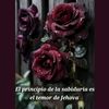 lucyperechu955