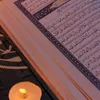 🌷آيلا🌷