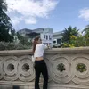 d.my88
