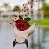 usr24marosh