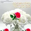 jamilwalayat