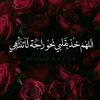 zizo.sof