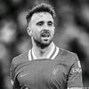 rip.diogojota6