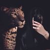 fatmamohamed6410