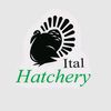 italhatcheryug