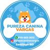 Pureza canina vargas