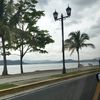 medina305_