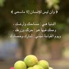 user11737919183135