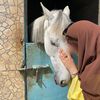 .salsoula