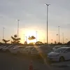 iarapadilhasouza7