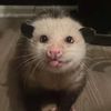 wet_spathetti_noodles