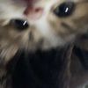 aisha_qasem07s