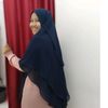 drosnaniherdianti_