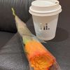foozmm_511