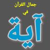 krm_232