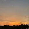 wannafly25