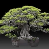 Thư viện Bonsai