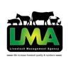 livestock_agency