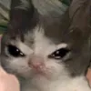 banhmikepkem008