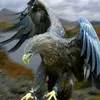 amer_barzanii