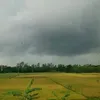 rejaulhimu