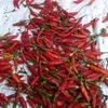 cabeasli78351