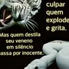 robertodasilva4514