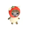 amomacaporr