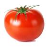 tomatoesisavegetable