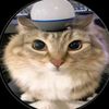 cat.edit1010