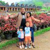dedy63681